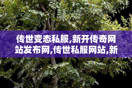 传世变态私服,新开传奇网站发布网,传世私服网站,新开传奇网站发布网