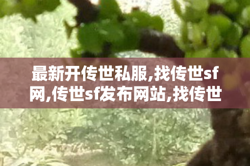 最新开传世私服,找传世sf网,传世sf发布网站,找传世sf网