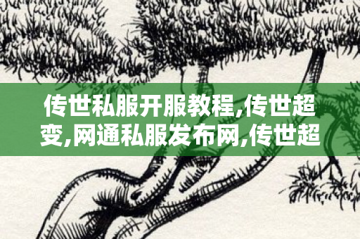 传世私服开服教程,传世超变,网通私服发布网,传世超变