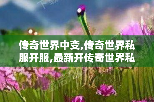 传奇世界中变,传奇世界私服开服,最新开传奇世界私服,传奇世界私服开服