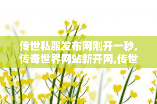 传世私服发布网刚开一秒,传奇世界网站新开网,传世sf,传奇世界网站新开网