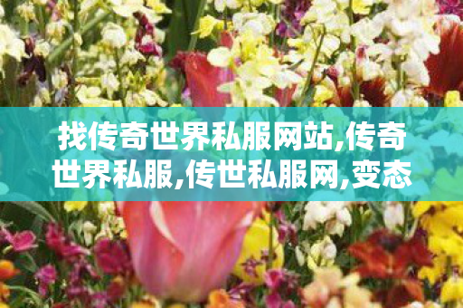 找传奇世界私服网站,传奇世界私服,传世私服网,变态传世sf发布网,传奇世界私服,传世私服网