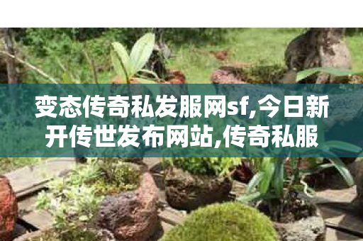 变态传奇私发服网sf,今日新开传世发布网站,传奇私服公布网,今日新开传世发布网站