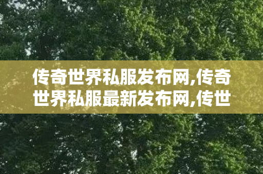 传奇世界私服发布网,传奇世界私服最新发布网,传世私服发布网站,传奇世界私服最新发布网