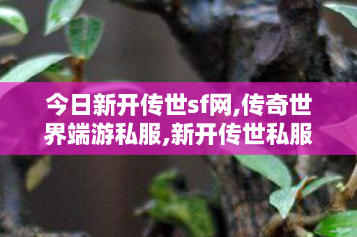 今日新开传世sf网,传奇世界端游私服,新开传世私服,传奇世界端游私服