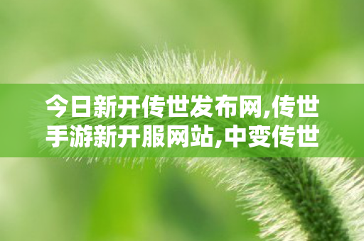 今日新开传世发布网,传世手游新开服网站,中变传世私服,传世手游新开服网站