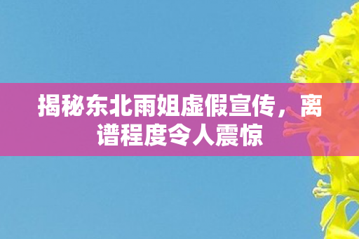 揭秘东北雨姐虚假宣传，离谱程度令人震惊