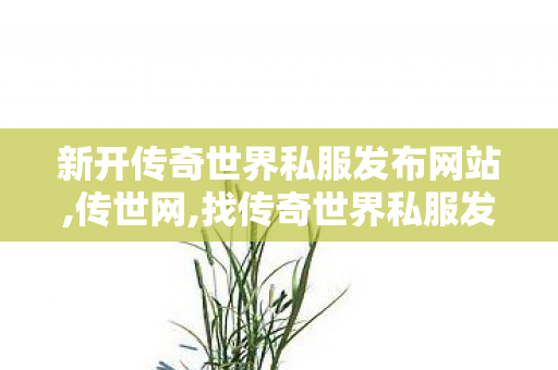 新开传奇世界私服发布网站,传世网,找传奇世界私服发布网站,传世网