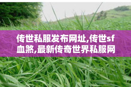 传世私服发布网址,传世sf血煞,最新传奇世界私服网,传世sf血煞