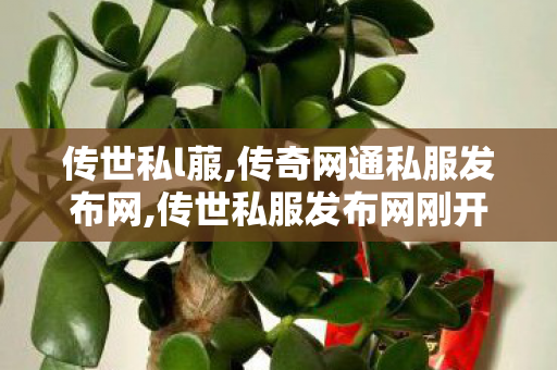 传世私l菔,传奇网通私服发布网,传世私服发布网刚开一秒,传奇网通私服发布网