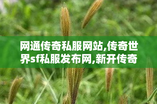 网通传奇私服网站,传奇世界sf私服发布网,新开传奇世界,传奇世界sf私服发布网