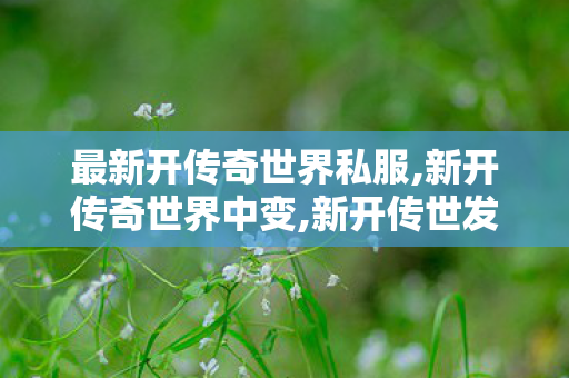 最新开传奇世界私服,新开传奇世界中变,新开传世发布网站,新开传奇世界中变