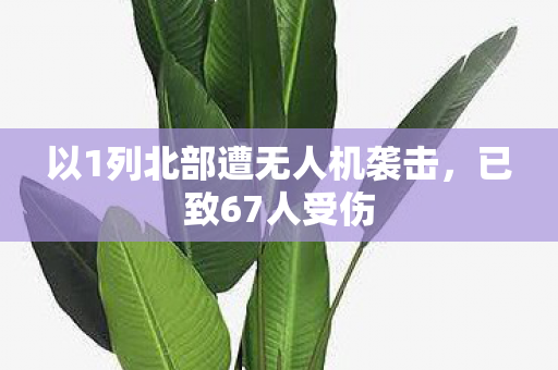 以1列北部遭无人机袭击，已致67人受伤