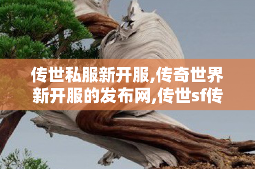 传世私服新开服,传奇世界新开服的发布网,传世sf传奇世界私服网,传奇世界新开服的发布网
