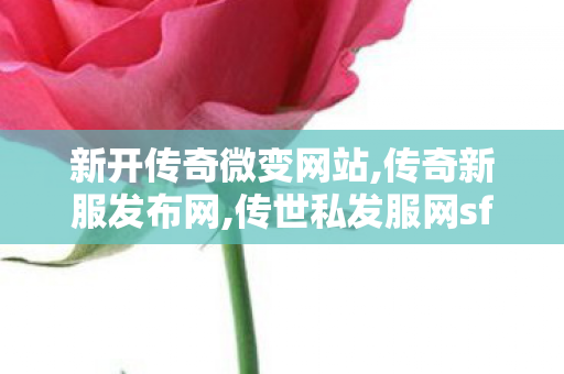 新开传奇微变网站,传奇新服发布网,传世私发服网sf,传奇新服发布网