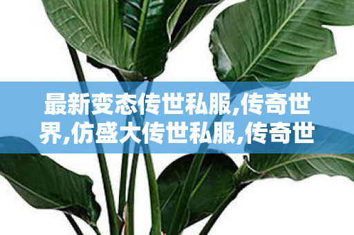 最新变态传世私服,传奇世界,仿盛大传世私服,传奇世界