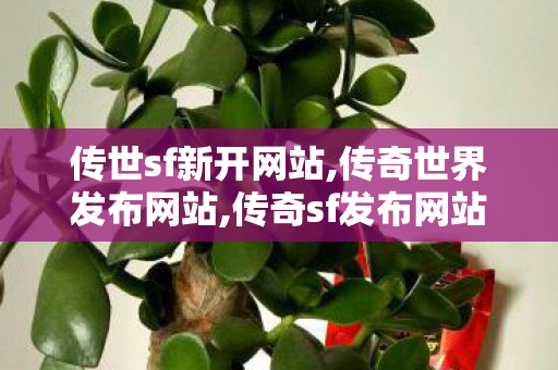 传世sf新开网站,传奇世界发布网站,传奇sf发布网站,传奇世界发布网站