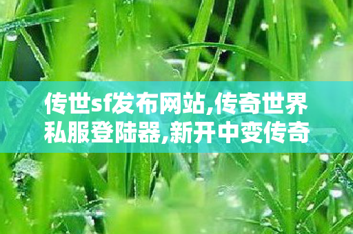 传世sf发布网站,传奇世界私服登陆器,新开中变传奇发布网,传奇世界私服登陆器