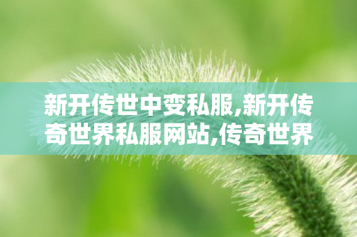 新开传世中变私服,新开传奇世界私服网站,传奇世界私 服,新开传奇世界私服网站