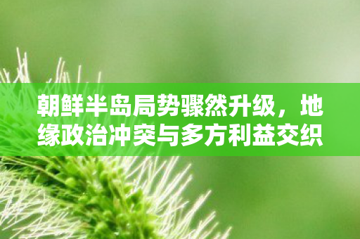 朝鲜半岛局势骤然升级，地缘政治冲突与多方利益交织的挑战