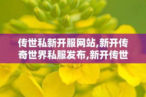 传世私新开服网站,新开传奇世界私服发布,新开传世网站刚开一秒,新开传奇世界私服发布