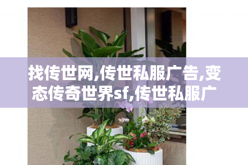 找传世网,传世私服广告,变态传奇世界sf,传世私服广告