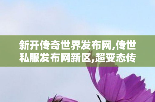 新开传奇世界发布网,传世私服发布网新区,超变态传奇私发服,传世私服发布网新区