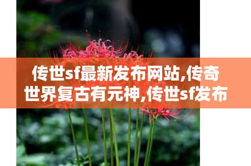 传世sf最新发布网站,传奇世界复古有元神,传世sf发布网站,传奇世界复古有元神