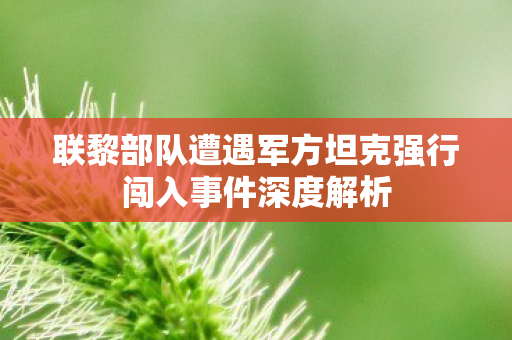联黎部队遭遇军方坦克强行闯入事件深度解析