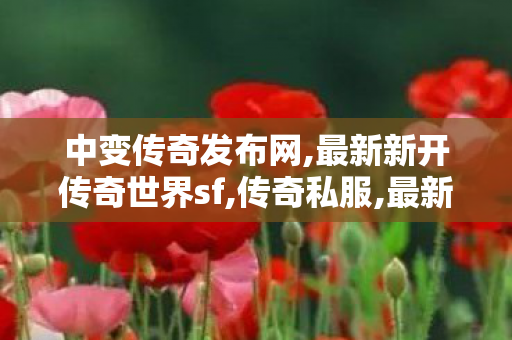 中变传奇发布网,最新新开传奇世界sf,传奇私服,最新新开传奇世界sf