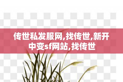 传世私发服网,找传世,新开中变sf网站,找传世