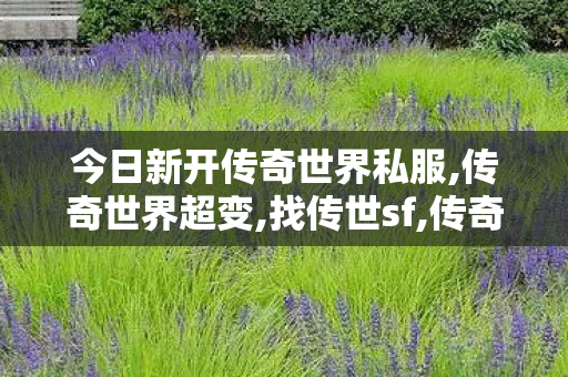 今日新开传奇世界私服,传奇世界超变,找传世sf,传奇世界超变