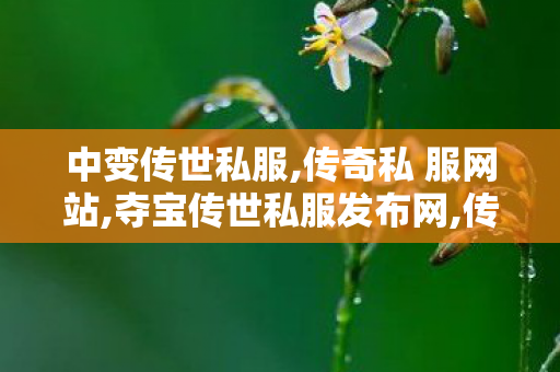 中变传世私服,传奇私 服网站,夺宝传世私服发布网,传奇私 服网站
