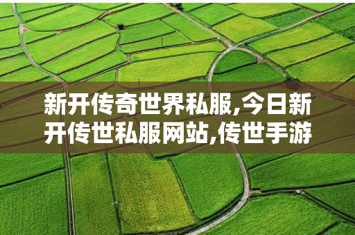 新开传奇世界私服,今日新开传世私服网站,传世手游新开服网站0,今日新开传世私服网站