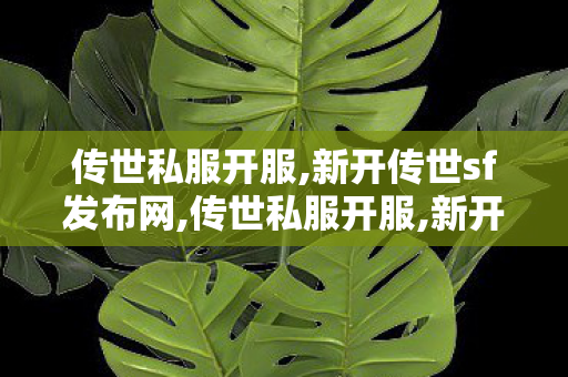 传世私服开服,新开传世sf发布网,传世私服开服,新开传世sf发布网