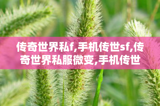 传奇世界私f,手机传世sf,传奇世界私服微变,手机传世sf