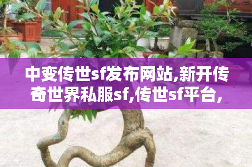中变传世sf发布网站,新开传奇世界私服sf,传世sf平台,新开传奇世界私服sf