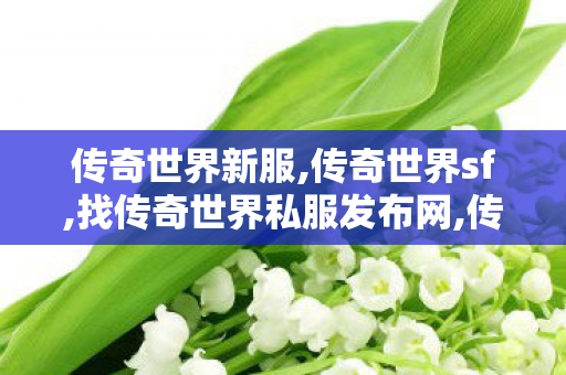 传奇世界新服,传奇世界sf,找传奇世界私服发布网,传奇世界sf
