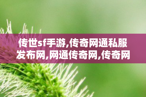 传世sf手游,传奇网通私服发布网,网通传奇网,传奇网通私服发布网