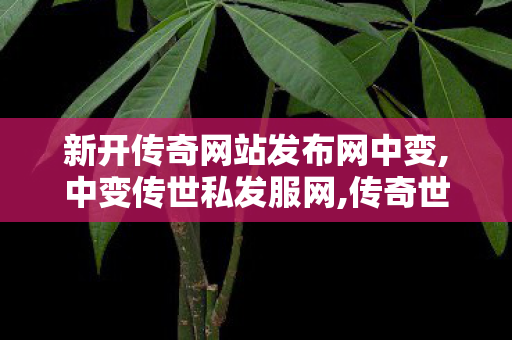 新开传奇网站发布网中变,中变传世私发服网,传奇世界私服新开传世私服发布网,中变传世私发服网