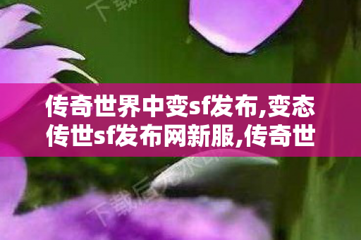 传奇世界中变sf发布,变态传世sf发布网新服,传奇世界吧,变态传世sf发布网新服