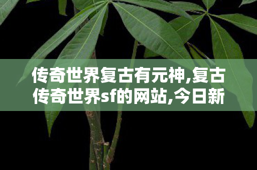传奇世界复古有元神,复古传奇世界sf的网站,今日新开传奇世界私服网站,复古传奇世界sf的网站