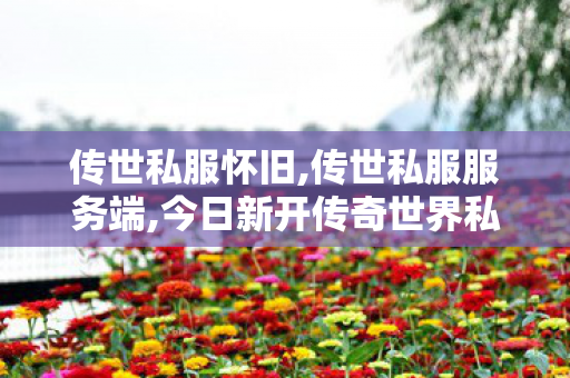 传世私服怀旧,传世私服服务端,今日新开传奇世界私服网站,传世私服服务端