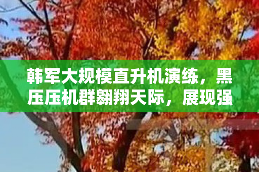韩军大规模直升机演练，黑压压机群翱翔天际，展现强大空中力量