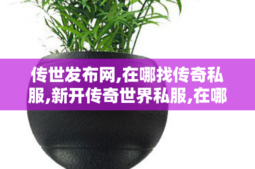 传世发布网,在哪找传奇私服,新开传奇世界私服,在哪找传奇私服