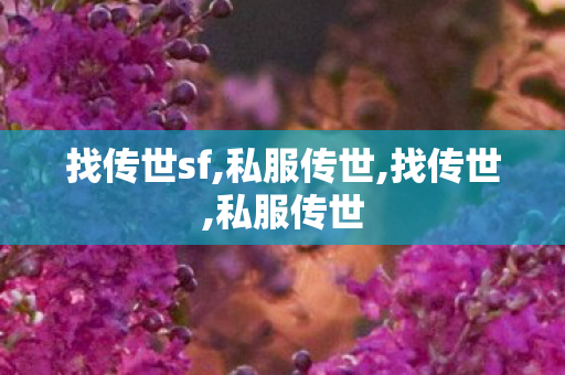 找传世sf,私服传世,找传世,私服传世