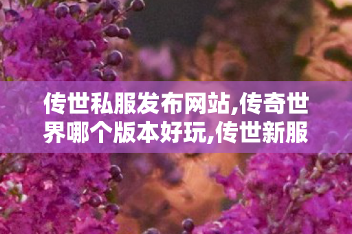 传世私服发布网站,传奇世界哪个版本好玩,传世新服网sf,传奇世界哪个版本好玩