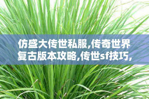 仿盛大传世私服,传奇世界复古版本攻略,传世sf技巧,传奇世界复古版本攻略