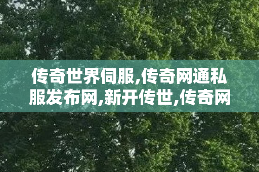 传奇世界伺服,传奇网通私服发布网,新开传世,传奇网通私服发布网