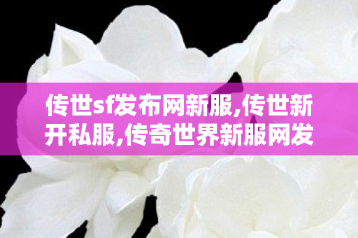 传世sf发布网新服,传世新开私服,传奇世界新服网发布网,传世新开私服